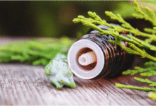 Wie ein Kräuter Inhalator Ihre Atemwege auf natürliche Weise unterstützt