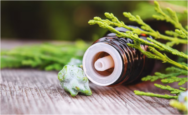 Wie ein Kräuter Inhalator Ihre Atemwege auf natürliche Weise unterstützt Wie ein Kräuter Inhalator Ihre Atemwege auf natürliche Weise unterstützt